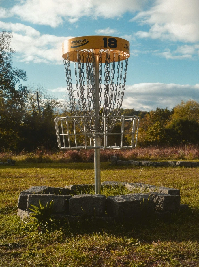 een frisbee golfmand in een grasveld